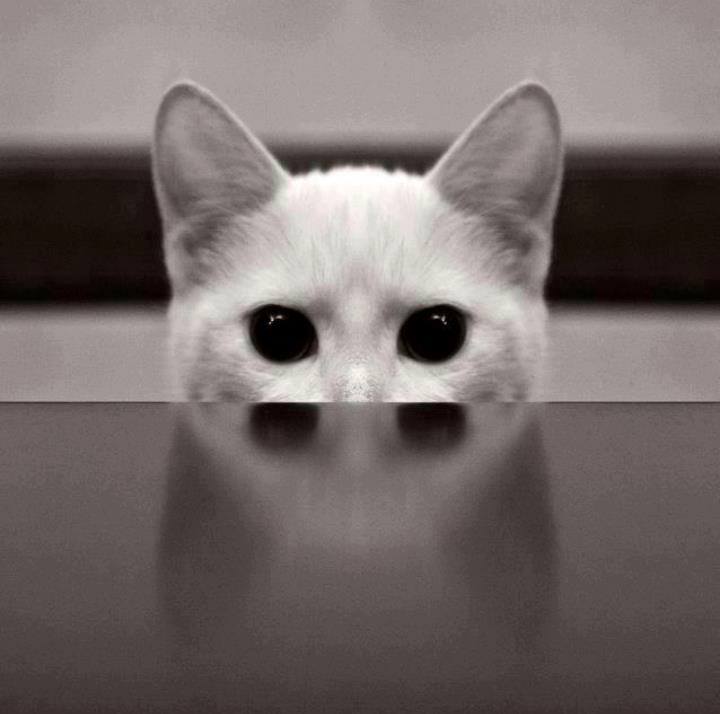 nstevanovic1983's profile picture
