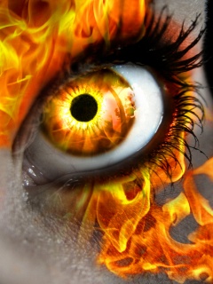 asdesign's profile picture