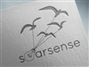 soarsense