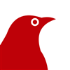RED RAVEN