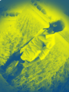 Najmul Hasan