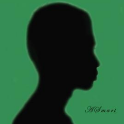 arisetiyawanid's profile picture