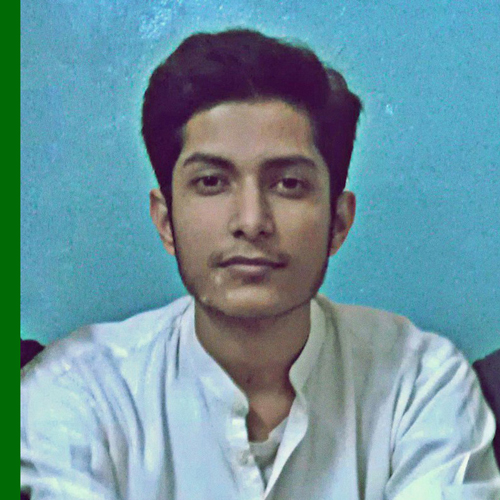 Cyed Ali's profile picture