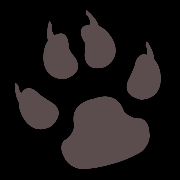 TingCute's profile picture