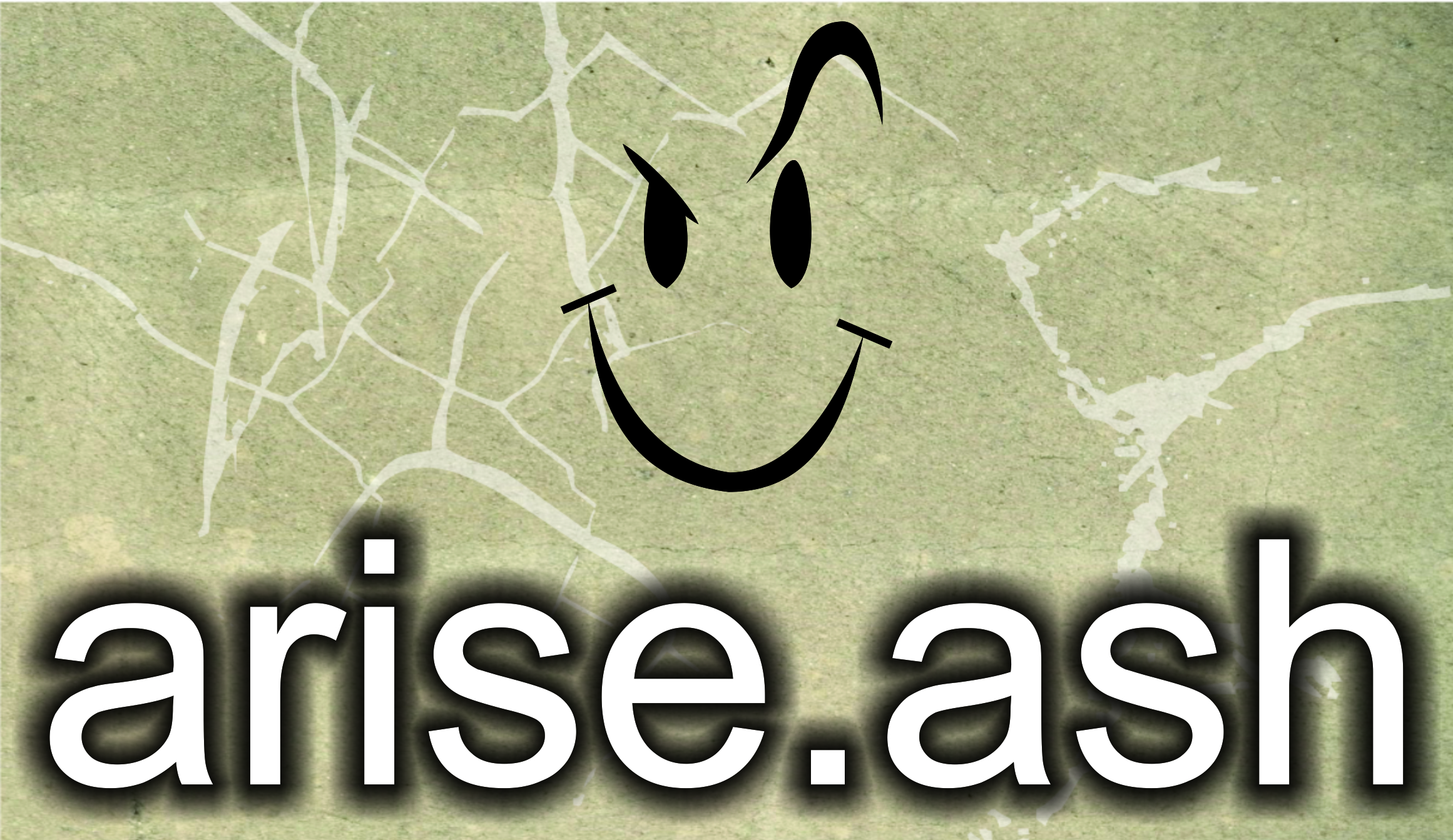 arise_ash's profile picture