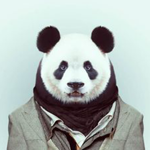 Hung Phung's profile picture