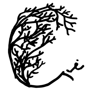 Qi's profile picture