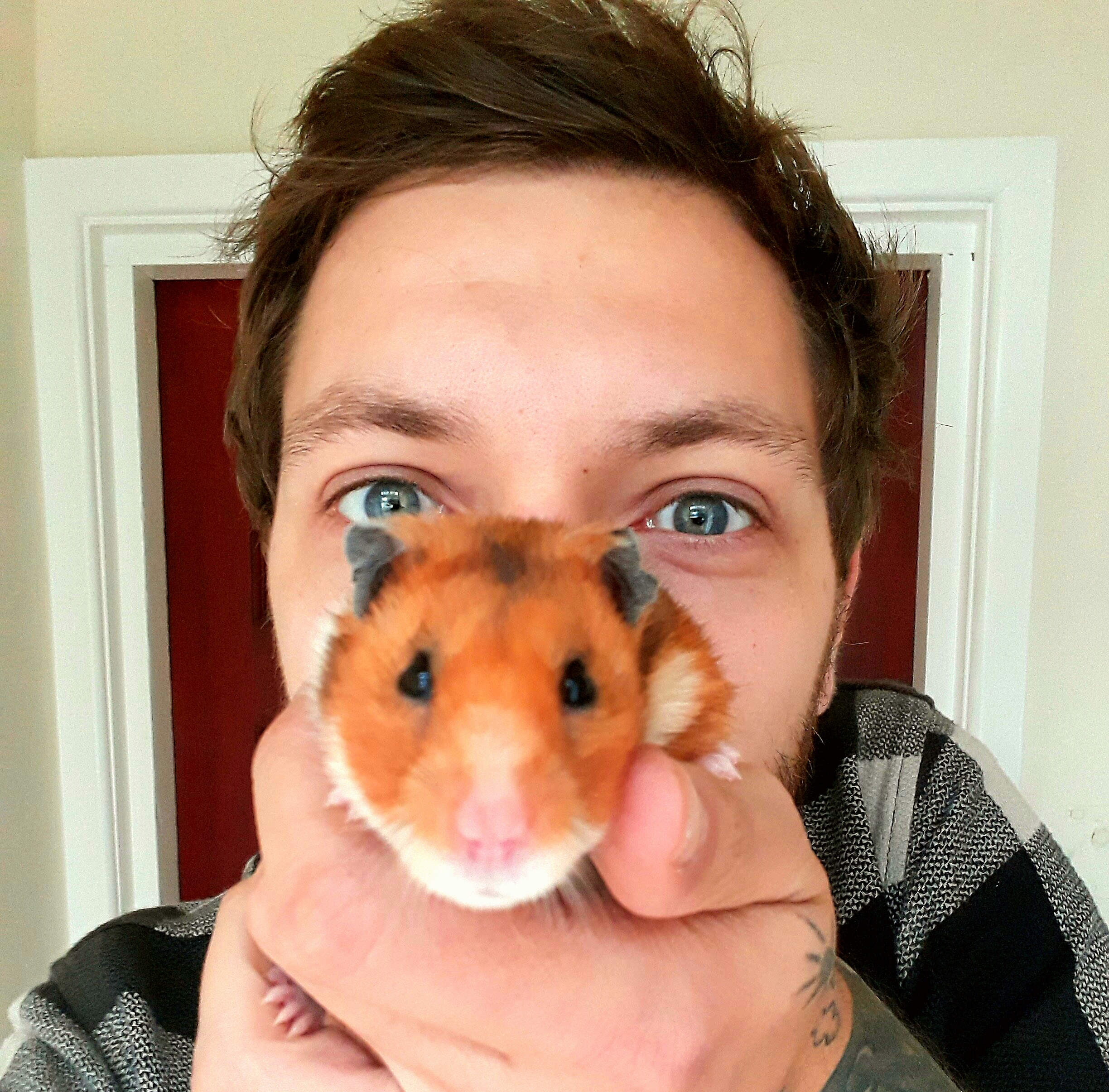 DVaughanD's profile picture