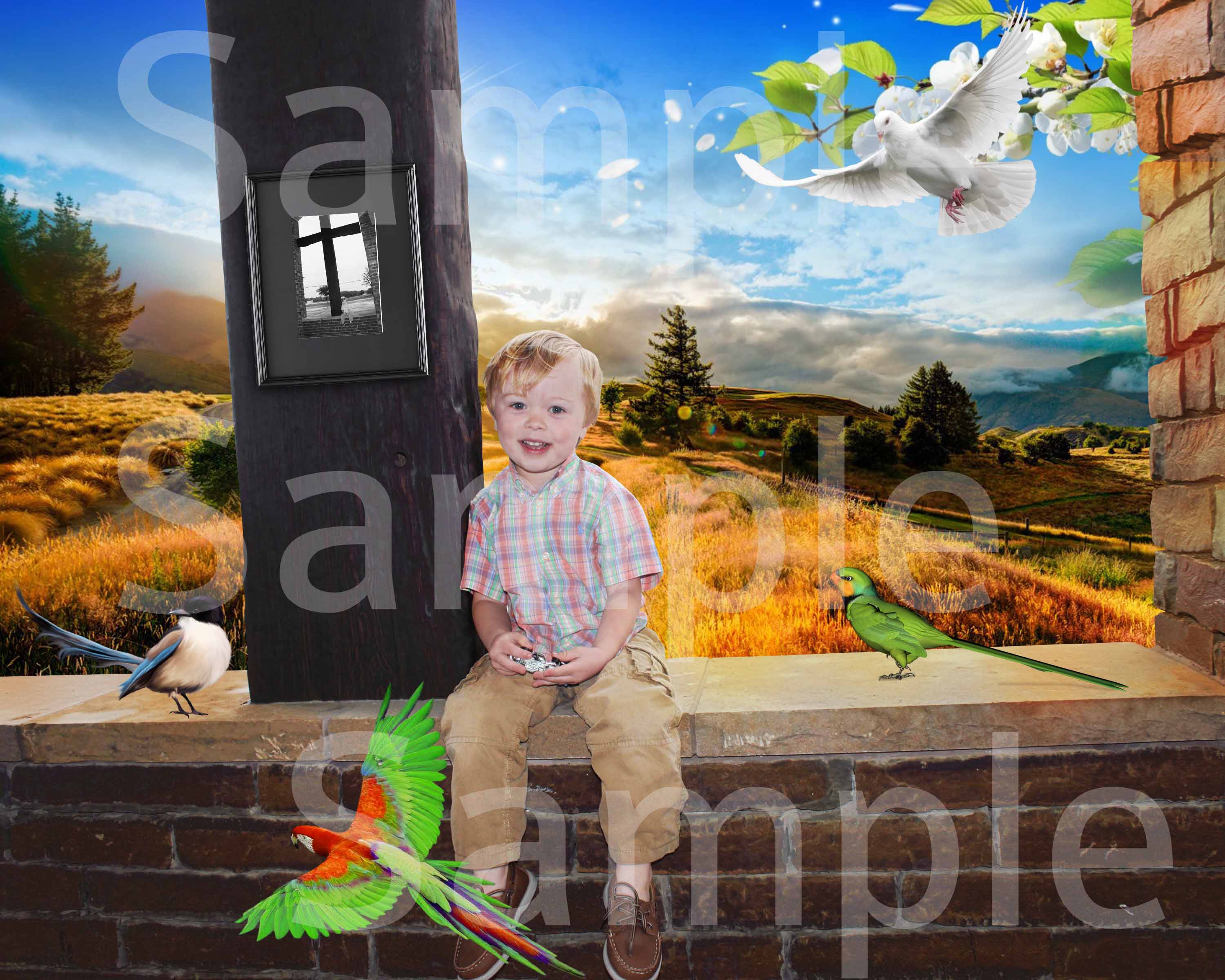 nishanfaith2's profile picture