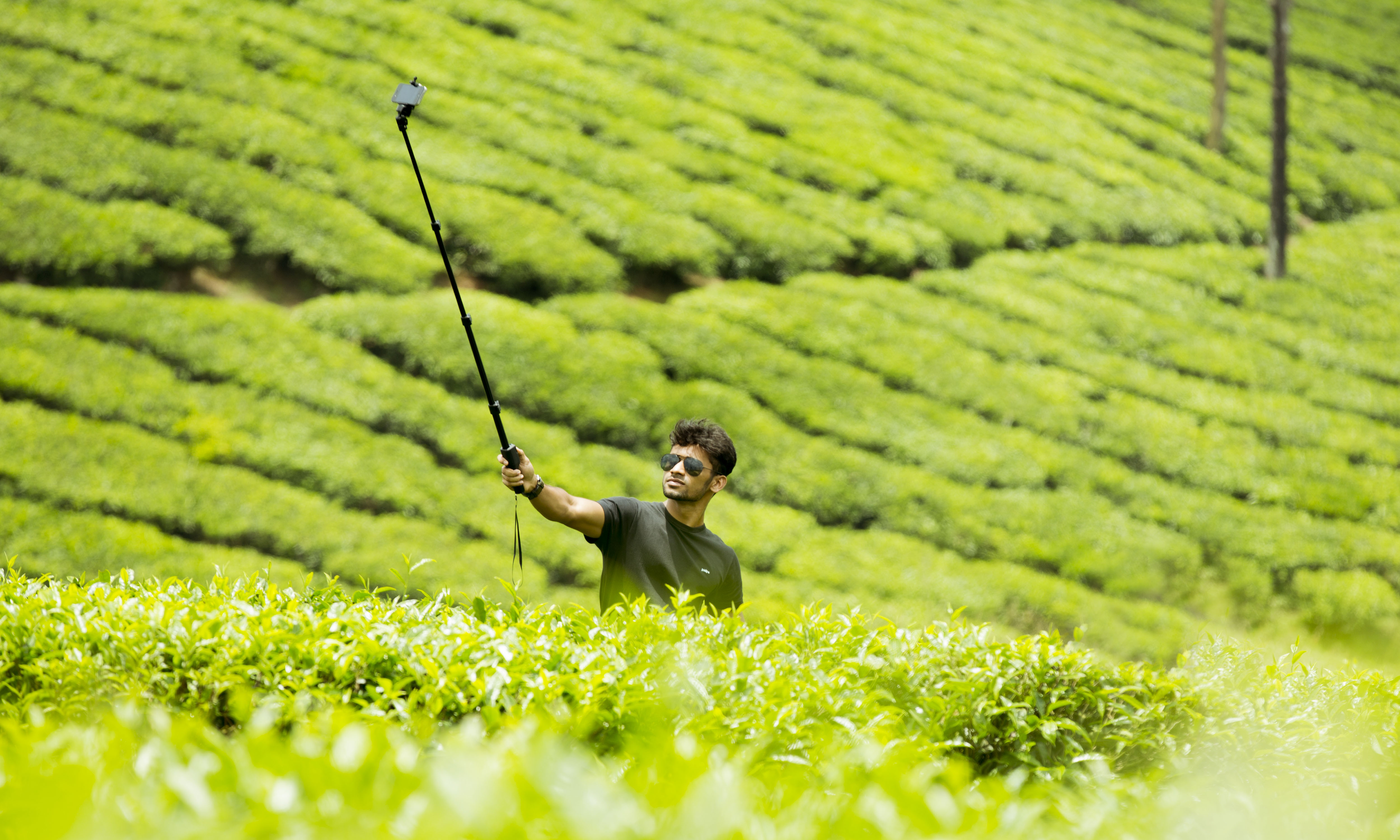 abdulmajeed's profile picture