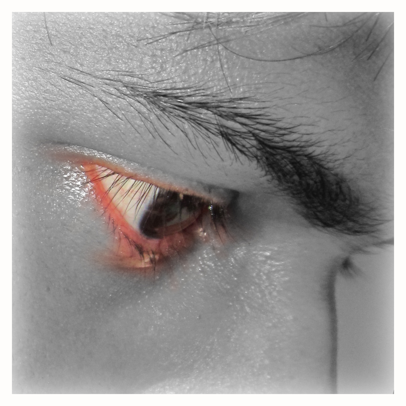 piasonai's profile picture