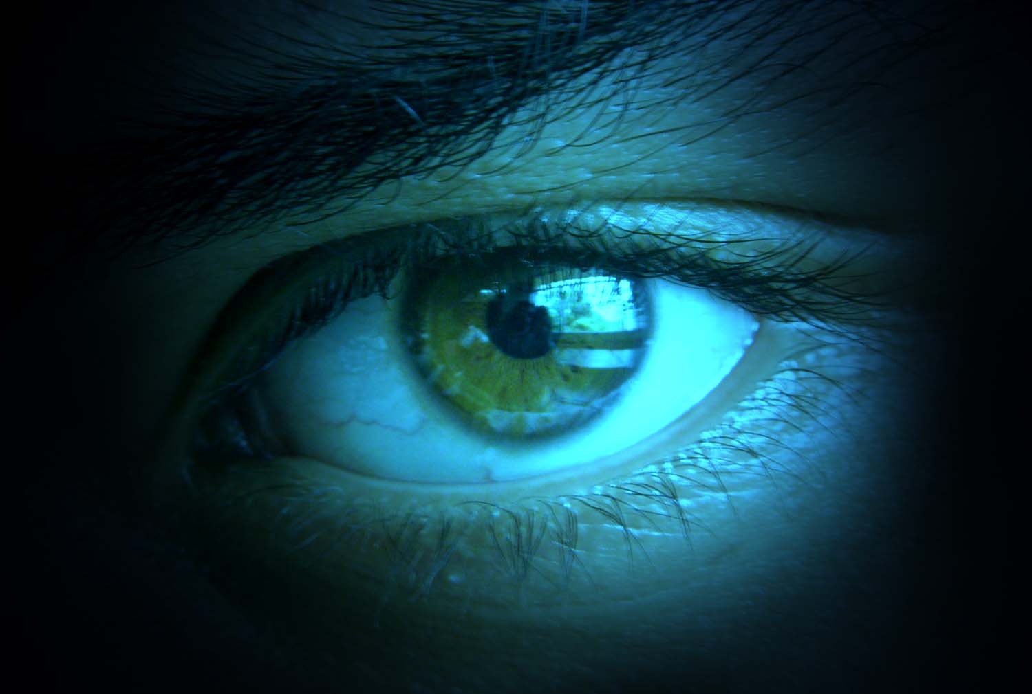 S.V.raghavan's profile picture