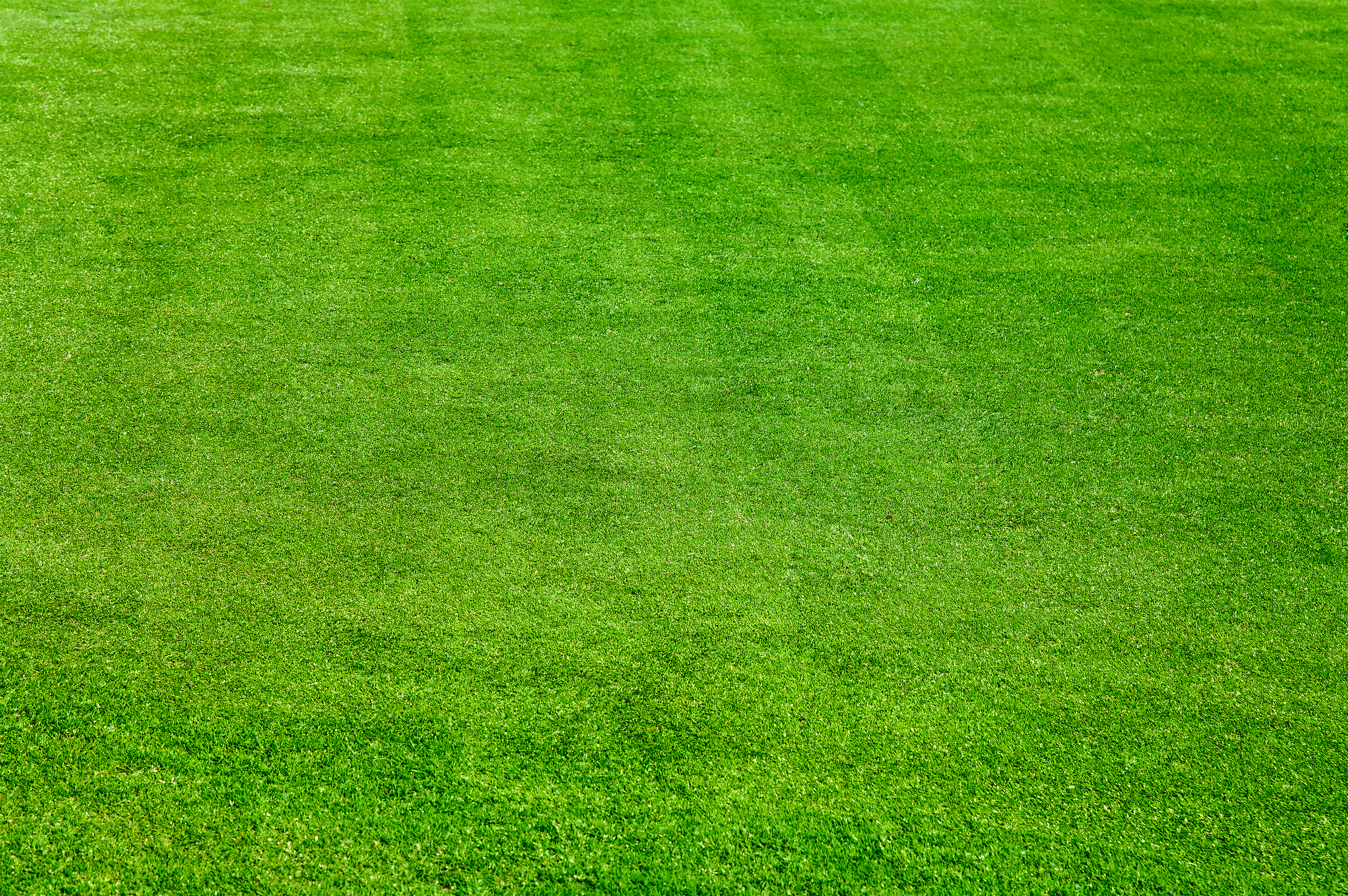 xiaocui's profile picture