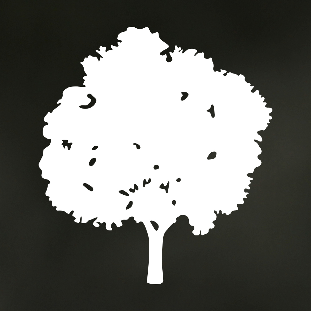 Ellowyn's profile picture