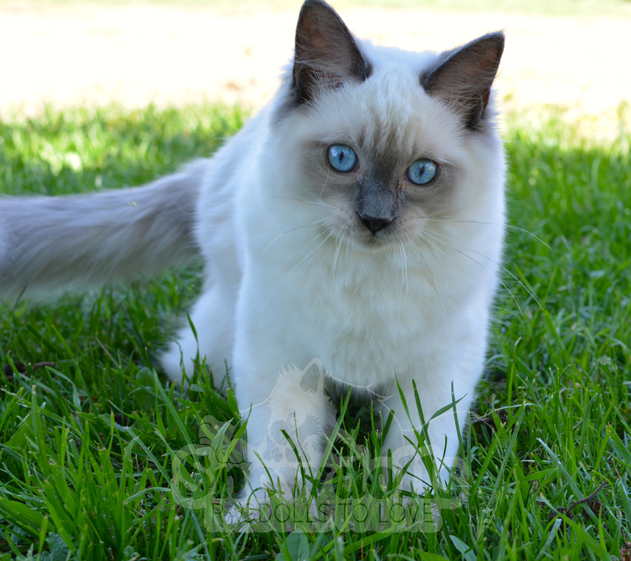 SiteMagic's profile picture