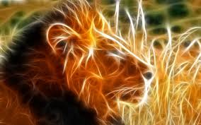 Tanmaya Roshan Nanda's profile picture