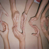 suzoo