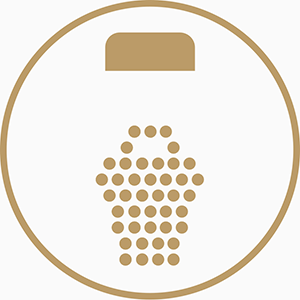 DariusXIII's profile picture