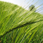 hkmantra108's profile picture