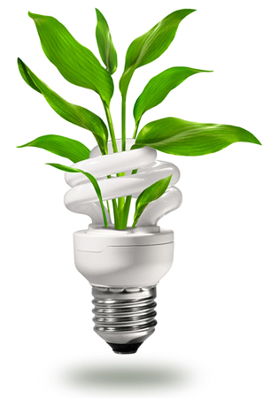 FinMark Consulting's profile picture