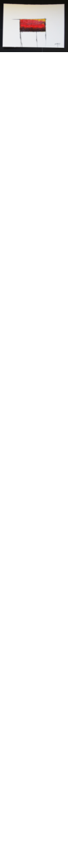 animaturas