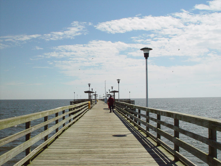 CaroleGS's profile picture