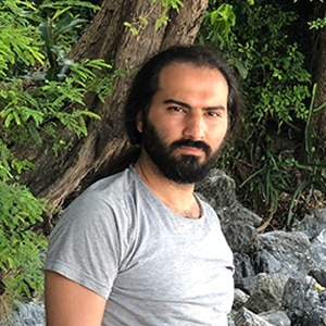 mehrdad-mousavi's profile picture