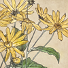 sunflow3r