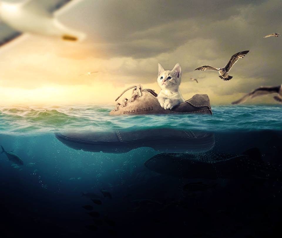 Nozart's profile picture