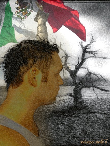 Rolo81's profile picture