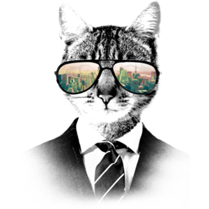 Fouad Betouche's profile picture
