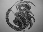 Claudia Loop Palescandolo's profile picture