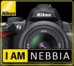 elnebbia's profile picture