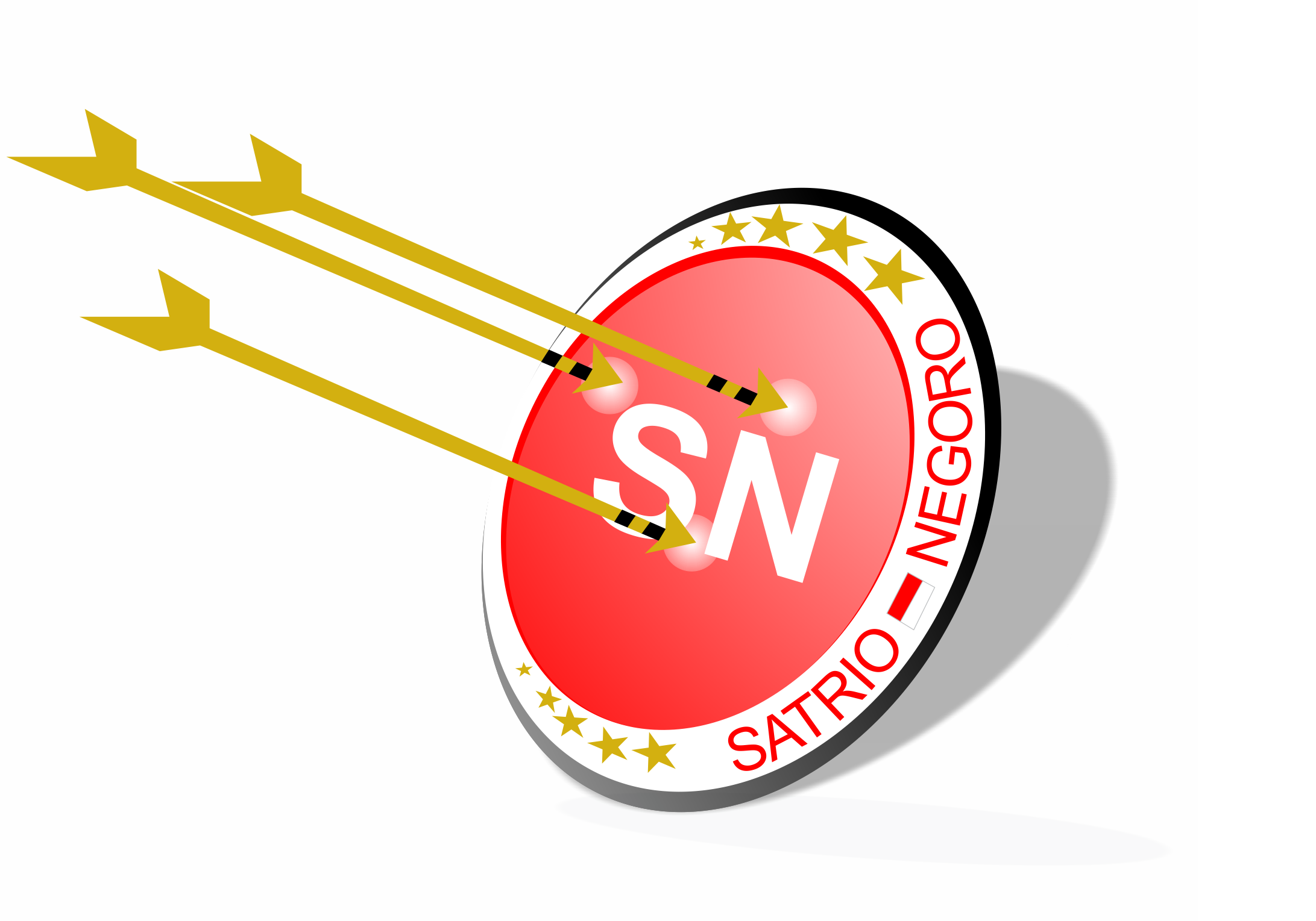 satrio negoro's profile picture