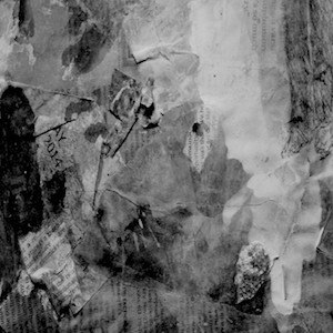 trasherwhite's profile picture