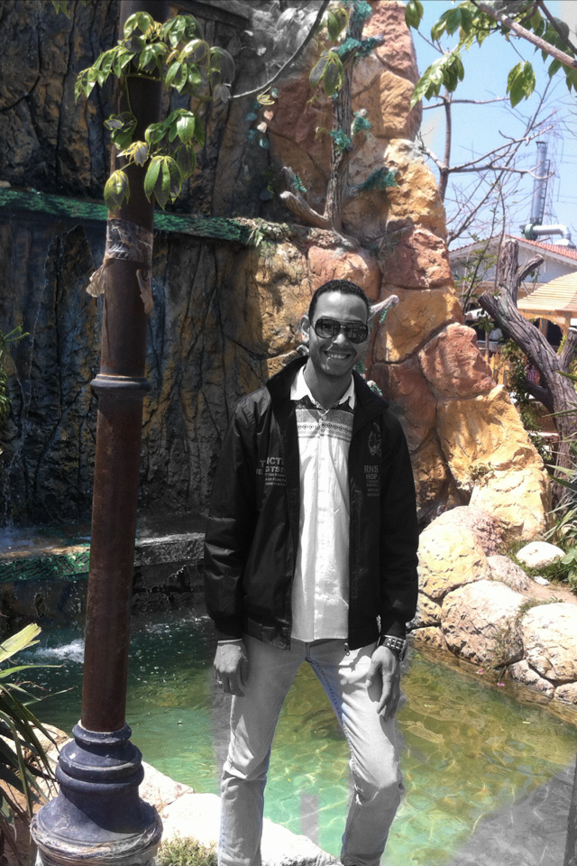 amr taima's profile picture