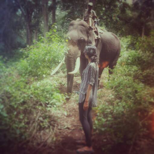 themothmode's profile picture