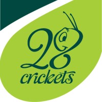 28crickets's profile picture