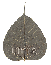 unit I0's profile picture