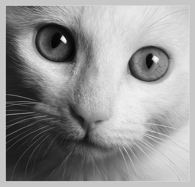 kyliefornication's profile picture