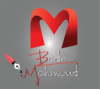 mahmoud Badr