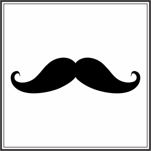 fabsurd95's profile picture