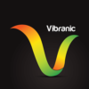 Vibranic Design Studio