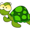 torrtugacoder