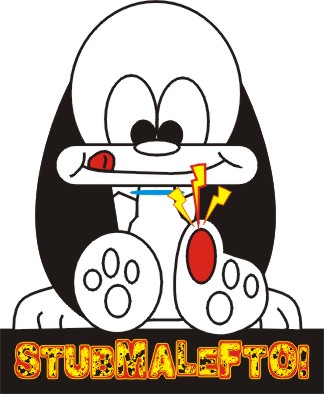 stubmalefto's profile picture