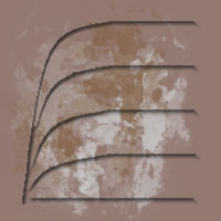 ArcHorizon's profile picture