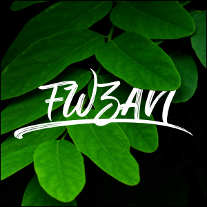 FWZAN's profile picture