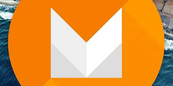 graphicmus's profile picture