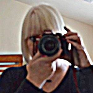 susanwfinn's profile picture