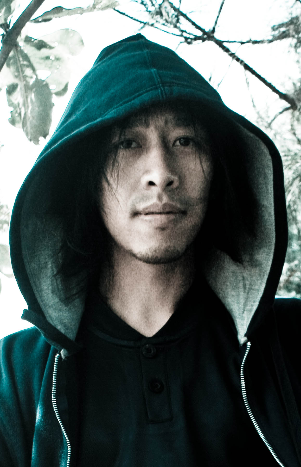 fresh design's profile picture